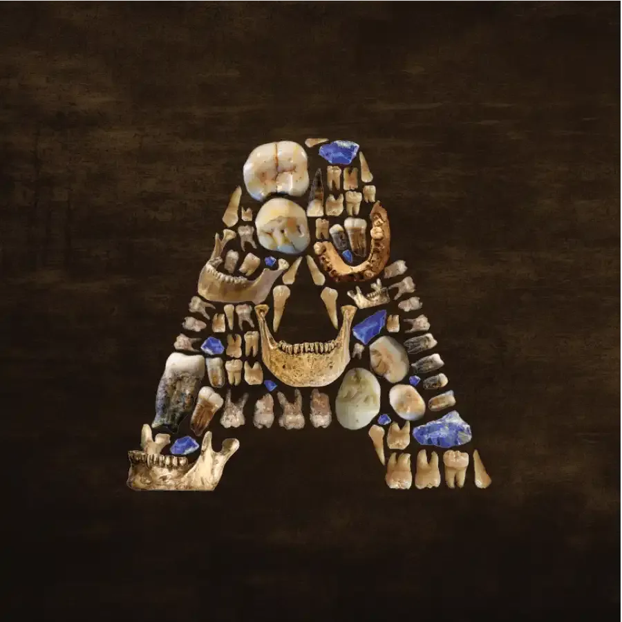 דן דויד 6_compressed